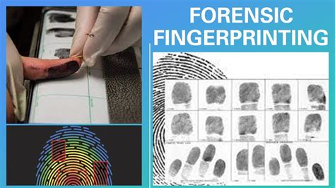 Forensic Fingerprint Collection Explained In 4 Minutes Youtube