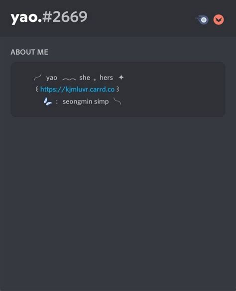 Aesthetic Discord Bio Template