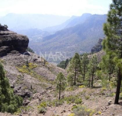 Monumento Natural Riscos De Tirajana Rincones De Gran Canaria