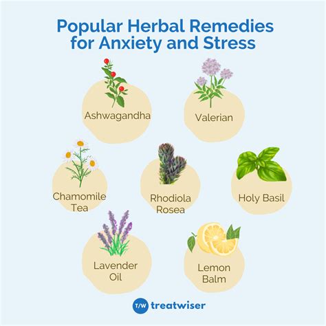 7 Top Herbal Remedies For Anxiety And Stress Treatwiser