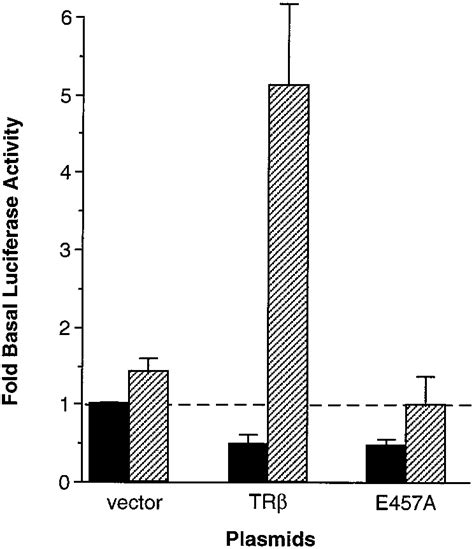 Transcriptional activities of wild-type TR and AF-2 mutant of TR ... 