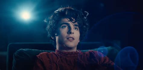 Timothée Chalamet Begs AppleTV+ for a Job in Hilarious Super Bowl Ad