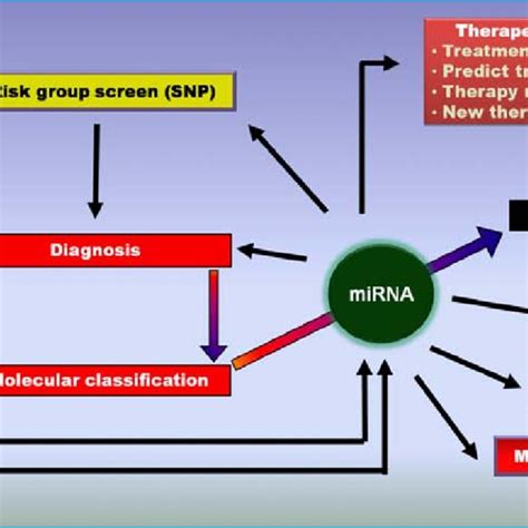 Circulating Mirna Biomarker Applications Download Table