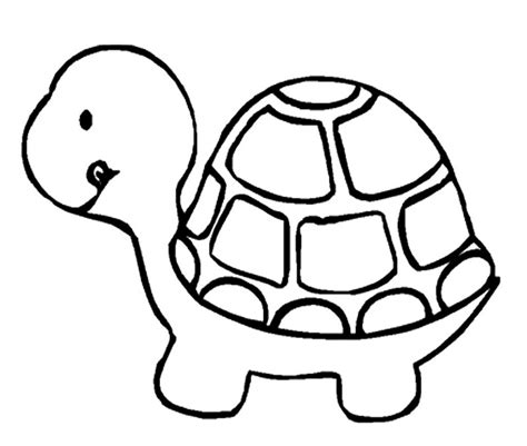 Dibujos De Tortugas Para Colorear