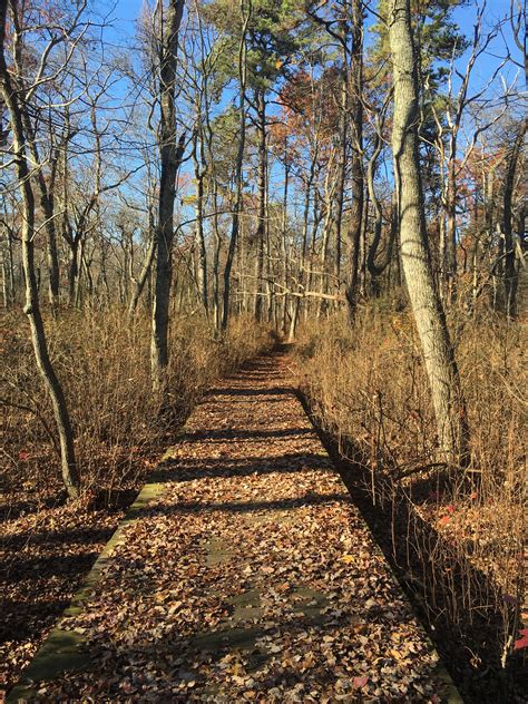 Turkey Swamp Park, November 2015