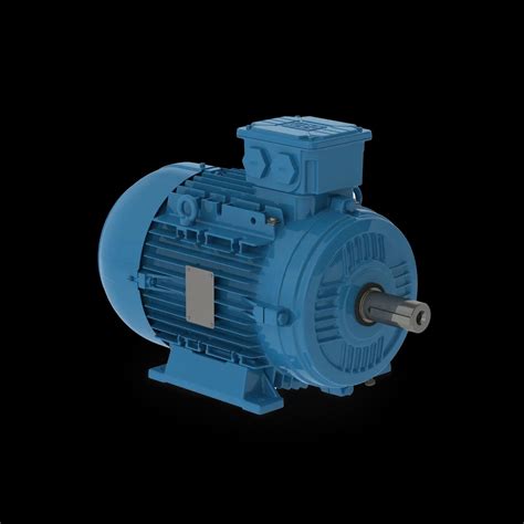 WEG Electric Motors – Authorized Distributor | BIBUS India