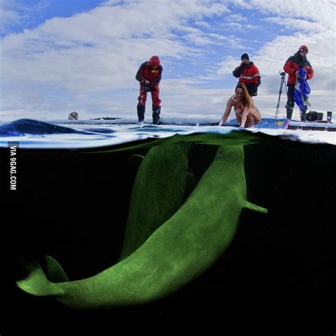 Russian Scientist Natalia Avseenko Preparing To Swim Naked With Beluga