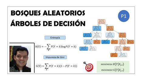 Arboles De Decisi N Parte De Bosques Aleatorios Youtube