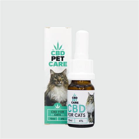 Huile De Cbd Pour Chats