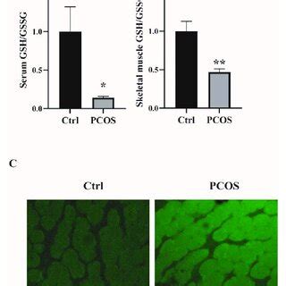 Increased Oxidative Stress In The Whole Body And Skeletal Muscles Of