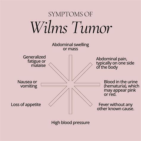 Wilms Tumor Causes Risk Factors Symptoms Treatment