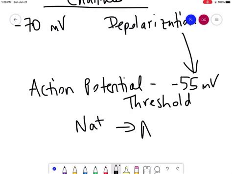 SOLVED:Voltage-gated Na^+ channels open upon reaching what state? a ... 