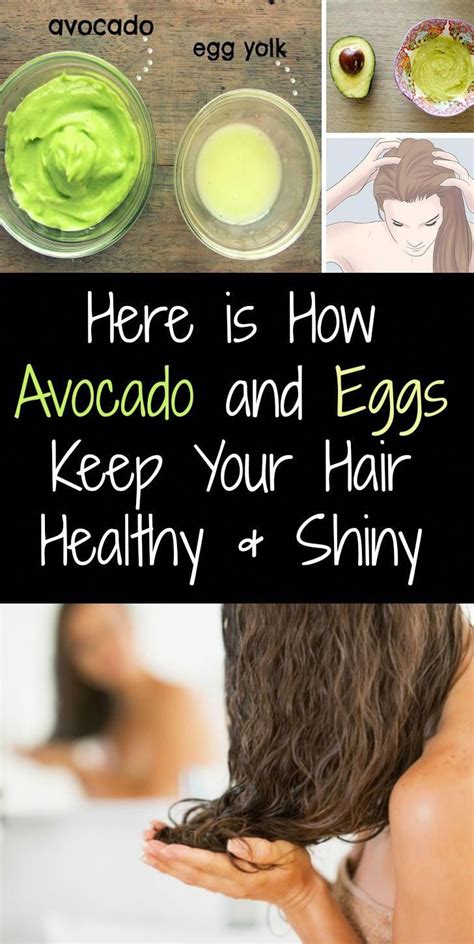 Here Is How Avocado And Eggs Keep Your Hair Healthy Shiny Shinyskin