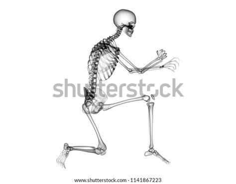 X Ray Human Body 3d Render Stock Illustration 1141867223 Shutterstock