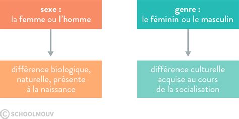 Socialisation Différenciée Selon Le Genre Léchelon Idéal