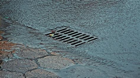 Storm Sewer Water Canal Clogged With Sludge Silt Duckweed Stock Video