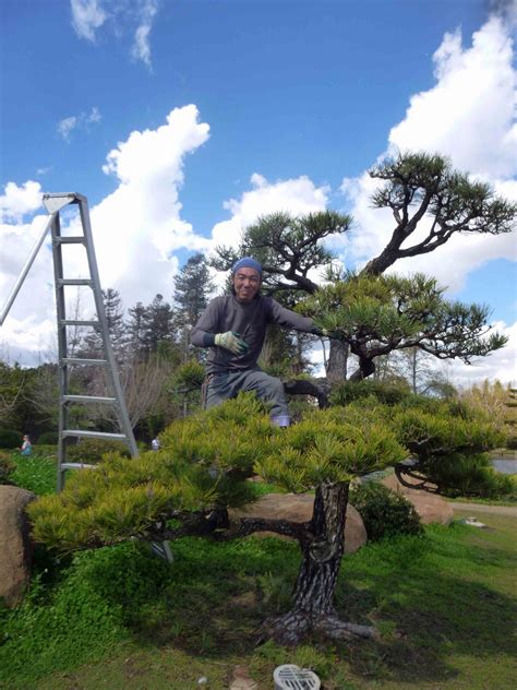 Japanese Garden At The Donald C Tillman Water Reclamation Plant Los