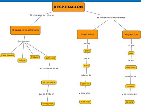 Diferencias Entre Mapa Mental Esquema Y Mapa Conceptual 0750 Hot Sexy