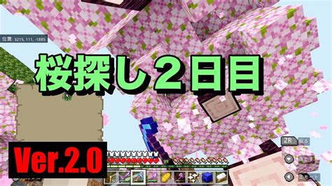 【マイクラ】【初心者】親子サバイバル ＃489 桜探し2日目！【作業用bgm】【switchps4mcpexboxpc】【minecraft】【ver20】 Youtube