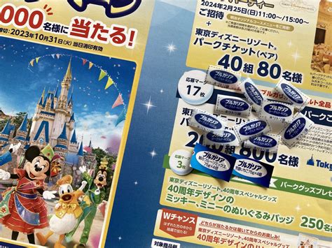 ｢ディズニー懸賞｣応募悩み中 365日懸賞生活