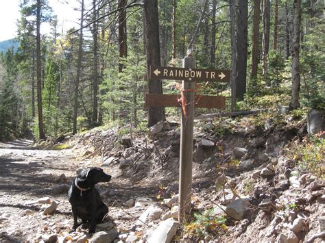 10 Wonderful Hiking Trails by Westcliffe - Uncover Colorado