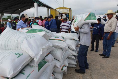 Gobierno Local Realiza Tercera Entrega De Fertilizante A Productores