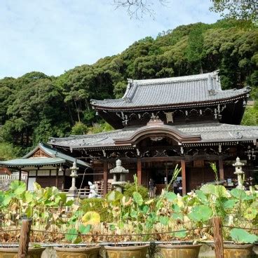 Mimuroto Ji The Flower Garden Beneath The Temple