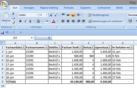 Excel Voorbeeld