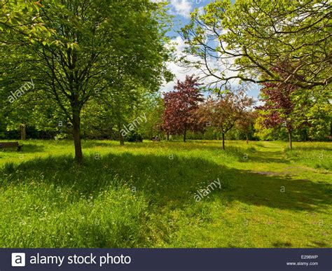 Woodland Path Worden Park Leyland Lancashire England Uk Stock