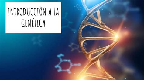 Introduccion A La Genetica Apuntes M Dicos Udocz