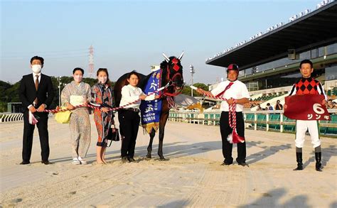 【地方競馬】兵庫競馬2年連続年度代表馬のジンギが引退 ライブドアニュース