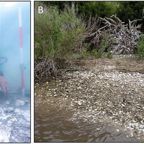 Underwater and partially submerged shell midden archaeology: A ...