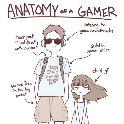 Anatomy of a Gamer | Know Your Meme