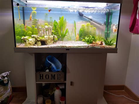 Acuario Litros Mueble Con Meses Foro Portalpez De Acuarios