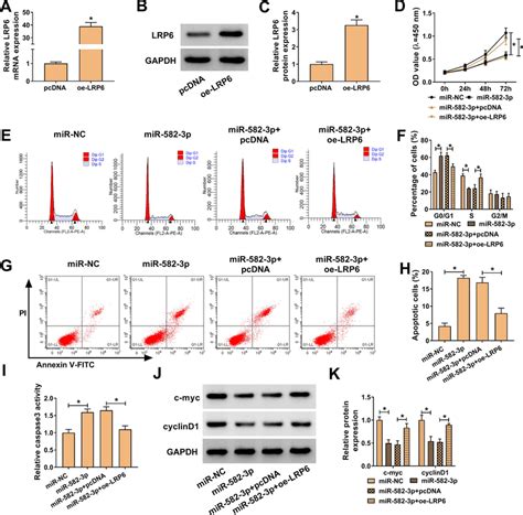 Mir P Regulated Htr Svneo Cell Proliferation Cell Cycle