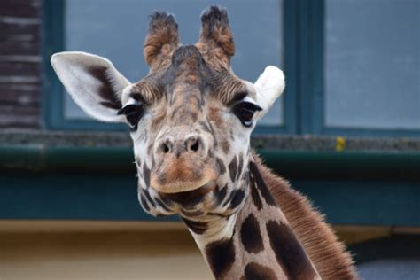 Marwell Zoo - Making learning fun - Latest news from Visit Winchester