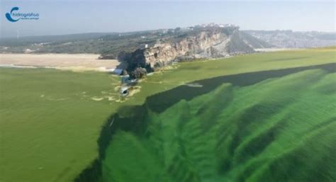 Nazare North Canyon - big waves generator - Nazaré Big Waves Surf - Portugal