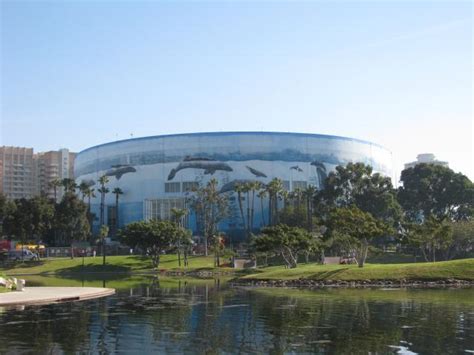 Gallery of Discover the Venues of the 2028 Summer Olympics in Los Angeles, United States - 4