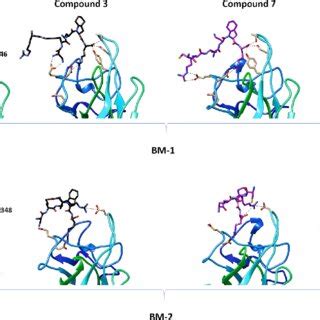 Snapshots From Molecular Dynamics Simulations Representing Examples Of