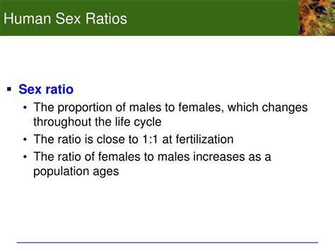 Ppt Chp Development And Sex Determination The Human