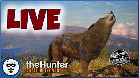 Hunting The Iberian Wolf On Cuatro Colinas Thehunter Call Of The Wild