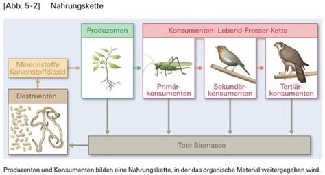 Biologie Evolution Biozönosen und Ökosysteme Karteikarten Quizlet