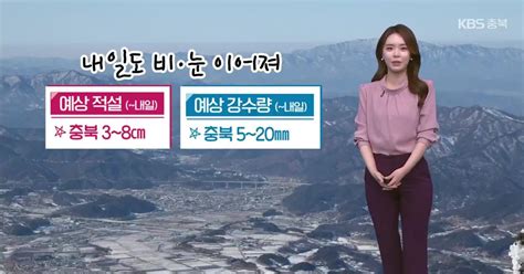 날씨 충북 내일도 비·눈북부 대설 예비특보