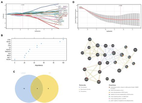 Frontiers Machine Learning Based Predictive Models And Drug