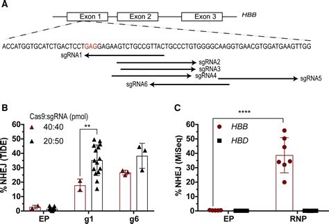 Gene Homology