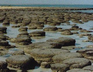 History of Earth - Proterozoic Eon (MesoProterozoic Era)