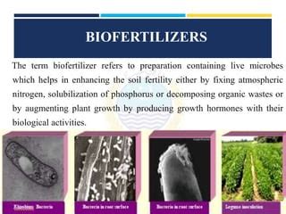 Biofuels And Microbial Application For Biofertilizer Production PPT