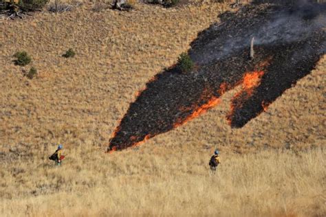 BLM Wildfire Management Series | Bureau of Land Management