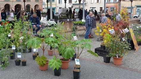 Demain Foire Aux Plantes De La Salicaire Ladepeche Fr