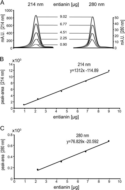 Hplc Based Calibration Curves To Determine Concentrations Of